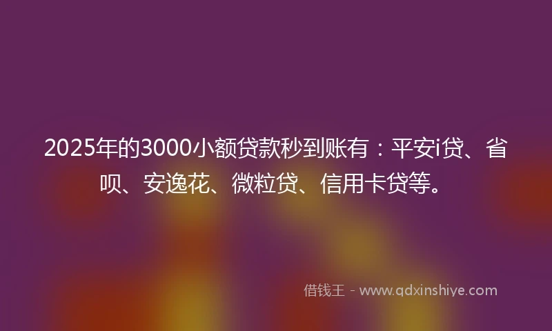2025年的3000小额贷款秒到账有：平安i贷、省呗、安逸花、微粒贷、信用卡贷等。
