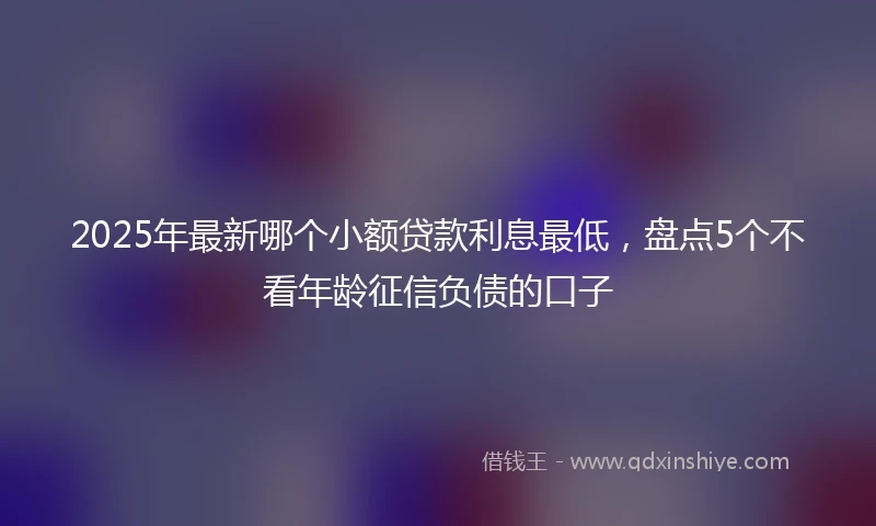 2025年最新哪个小额贷款利息最低，盘点5个不看年龄征信负债的口子