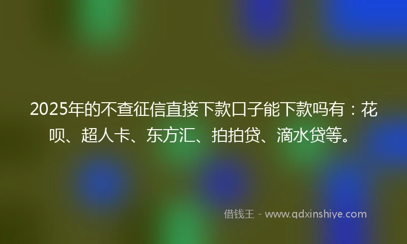 2025年的不查征信直接下款口子能下款吗有：花呗、超人卡、东方汇、拍拍贷、滴水贷等。