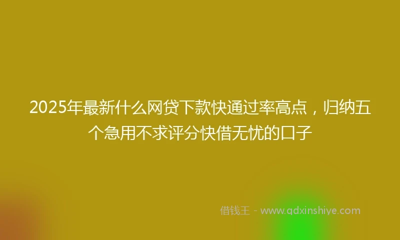 2025年最新什么网贷下款快通过率高点，归纳五个急用不求评分快借无忧的口子