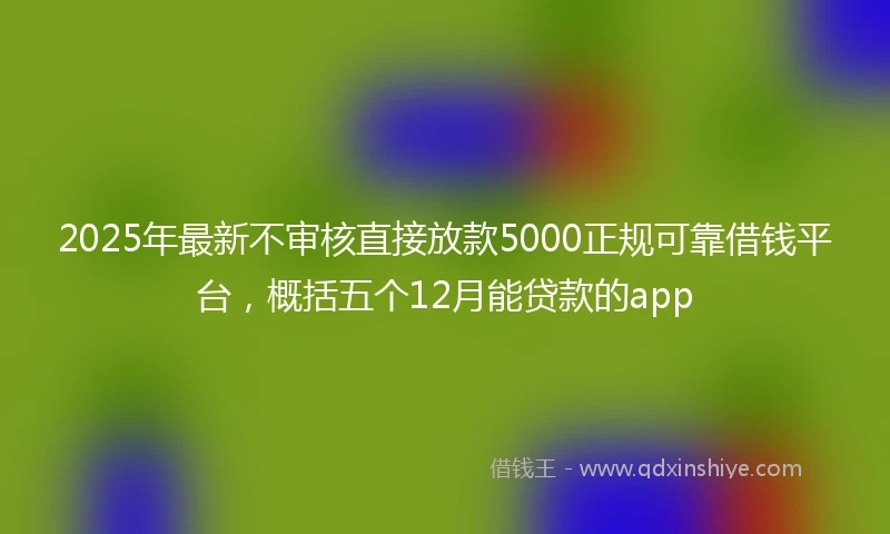 2025年最新不审核直接放款5000正规可靠借钱平台，概括五个12月能贷款的app