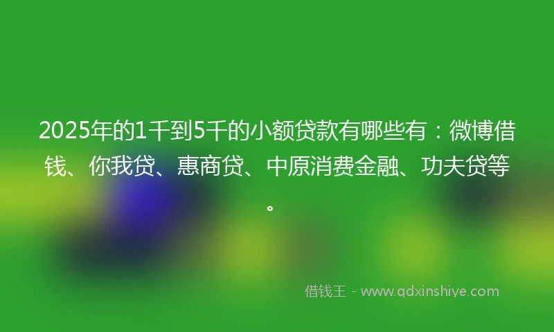 2025年的1千到5千的小额贷款有哪些有：微博借钱、你我贷、惠商贷、中原消费金融、功夫贷等。