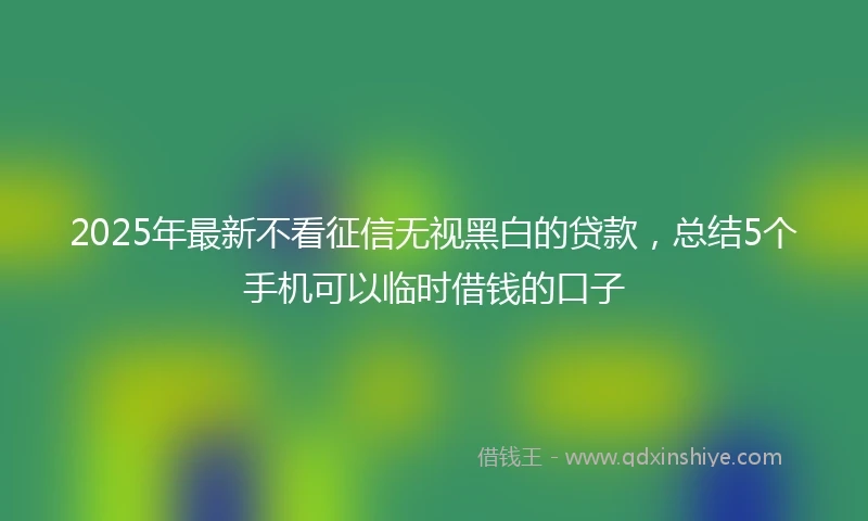 2025年最新不看征信无视黑白的贷款，总结5个手机可以临时借钱的口子