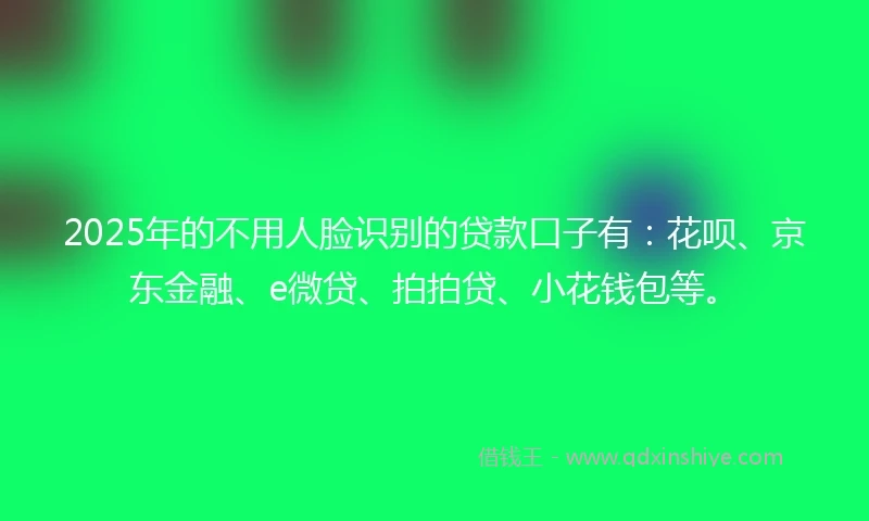 2025年的不用人脸识别的贷款口子有：花呗、京东金融、e微贷、拍拍贷、小花钱包等。