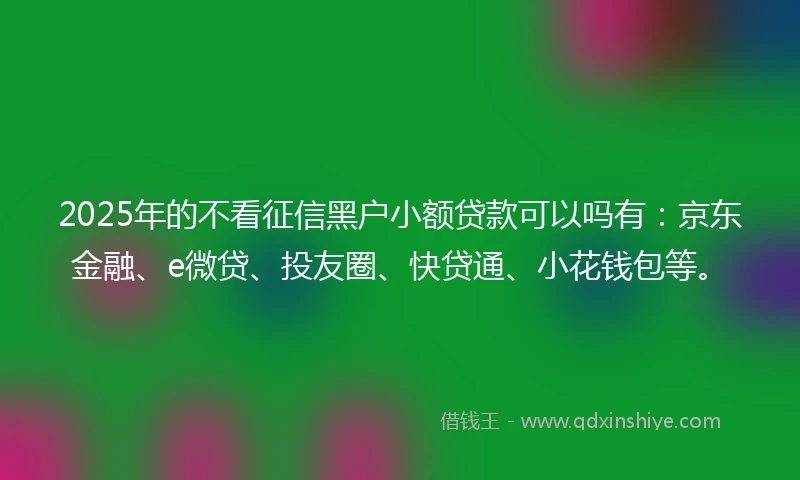 2025年的不看征信黑户小额贷款可以吗有：京东金融、e微贷、投友圈、快贷通、小花钱包等。
