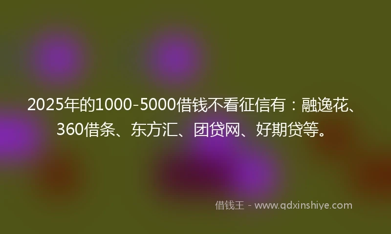 2025年的1000-5000借钱不看征信有：融逸花、360借条、东方汇、团贷网、好期贷等。