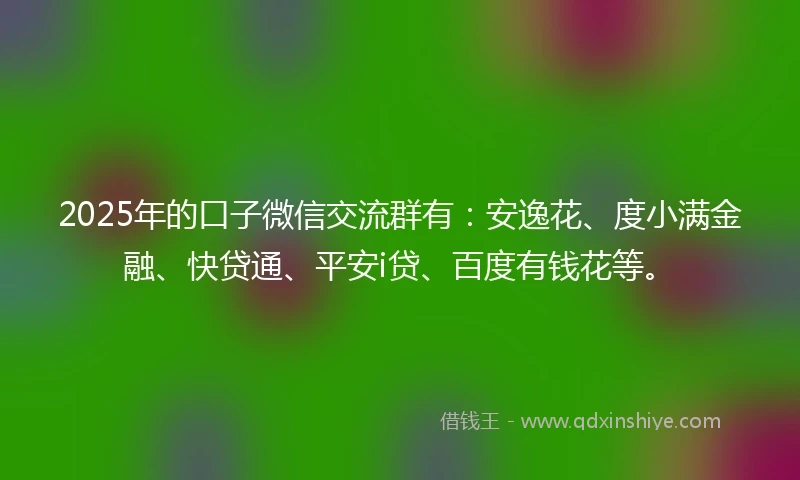 2025年的口子微信交流群有：安逸花、度小满金融、快贷通、平安i贷、百度有钱花等。