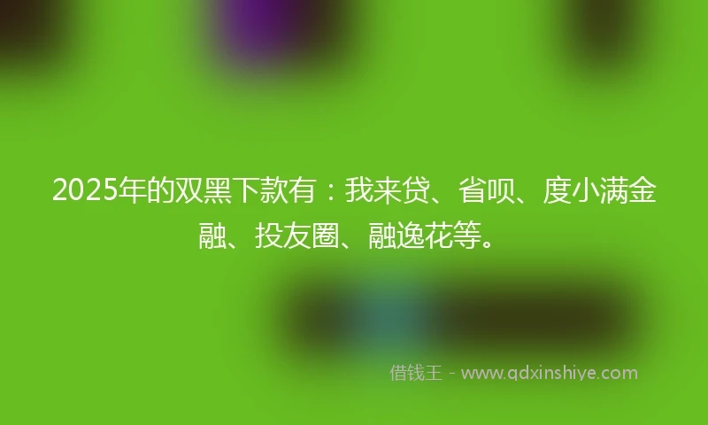 2025年的双黑下款有：我来贷、省呗、度小满金融、投友圈、融逸花等。