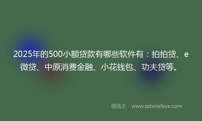 2025年的500小额贷款有哪些软件有：拍拍贷、e微贷、中原消费金融、小花钱包、功夫贷等。