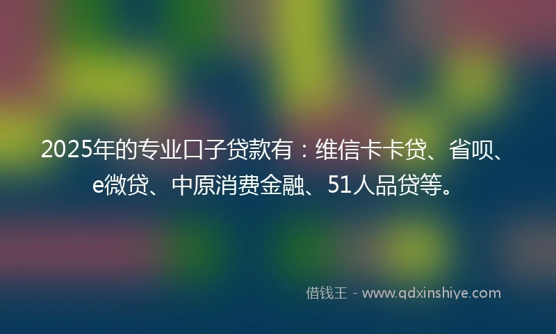 2025年的专业口子贷款有：维信卡卡贷、省呗、e微贷、中原消费金融、51人品贷等。