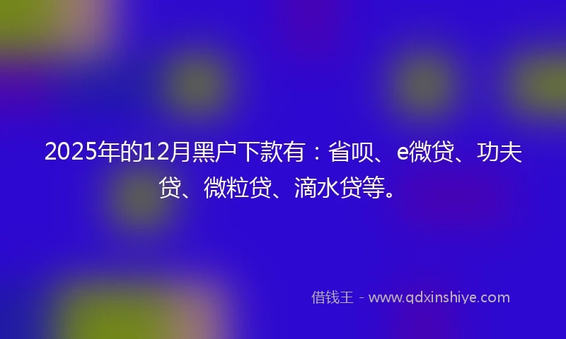 2025年的12月黑户下款有：省呗、e微贷、功夫贷、微粒贷、滴水贷等。