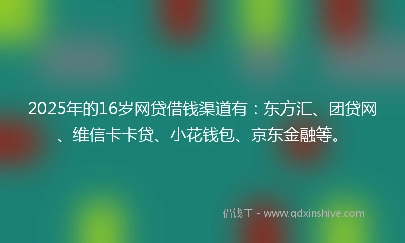 2025年的16岁网贷借钱渠道有：东方汇、团贷网、维信卡卡贷、小花钱包、京东金融等。
