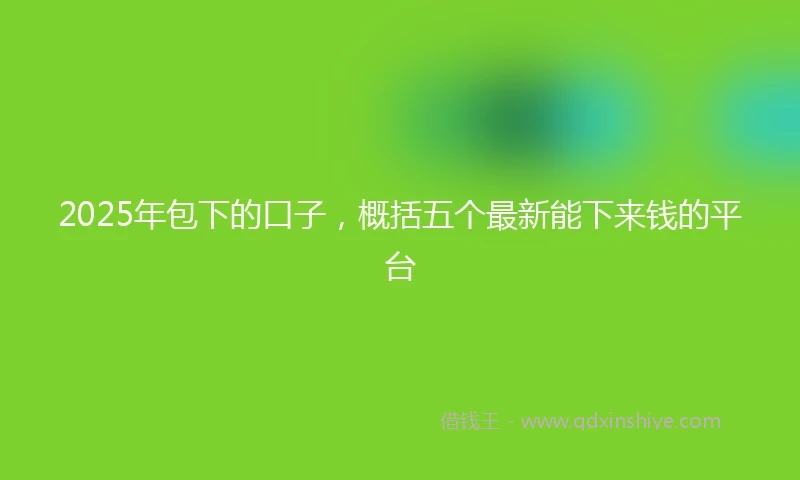 2025年包下的口子，概括五个最新能下来钱的平台