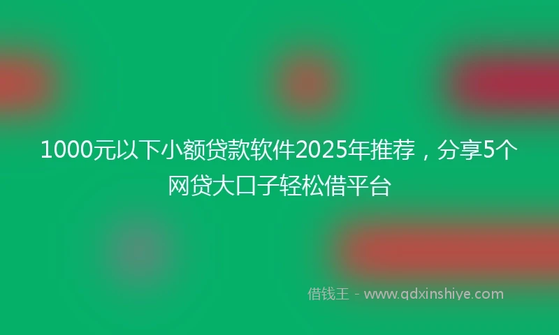 1000元以下小额贷款软件2025年推荐，分享5个网贷大口子轻松借平台