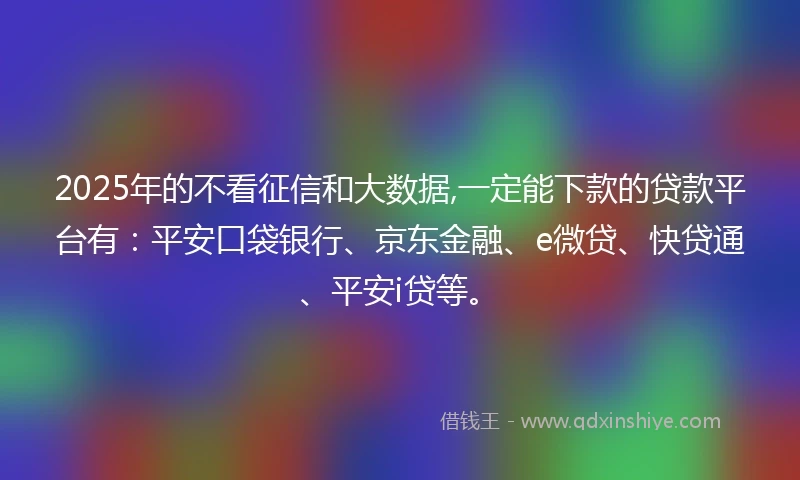 2025年的不看征信和大数据,一定能下款的贷款平台有：平安口袋银行、京东金融、e微贷、快贷通、平安i贷等。