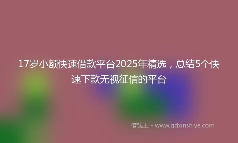 17岁小额快速借款平台2025年精选，总结5个快速下款无视征信的平台