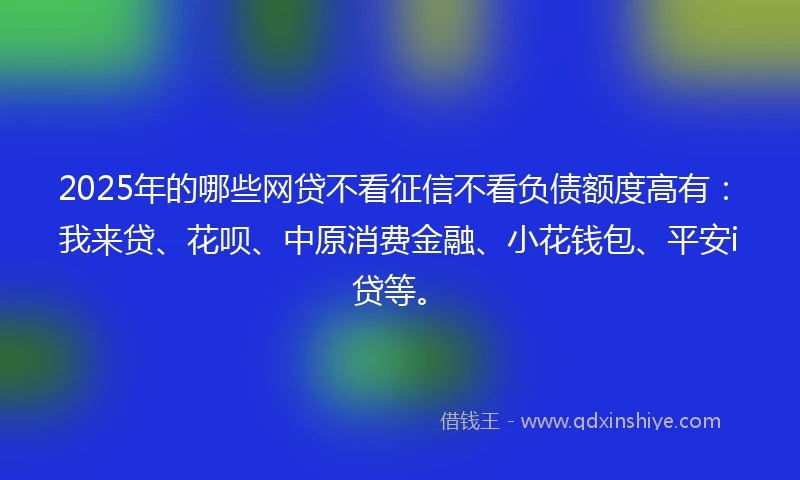 2025年的哪些网贷不看征信不看负债额度高有：我来贷、花呗、中原消费金融、小花钱包、平安i贷等。