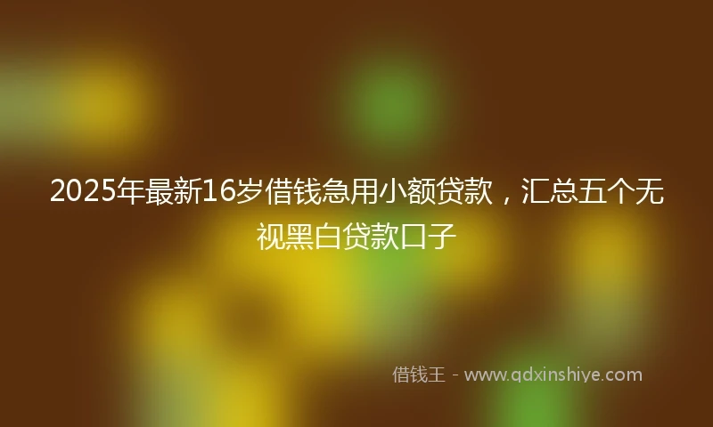 2025年最新16岁借钱急用小额贷款，汇总五个无视黑白贷款口子
