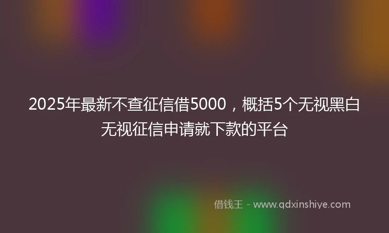 2025年最新不查征信借5000，概括5个无视黑白无视征信申请就下款的平台