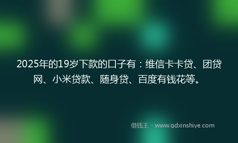 2025年的19岁下款的口子有：维信卡卡贷、团贷网、小米贷款、随身贷、百度有钱花等。