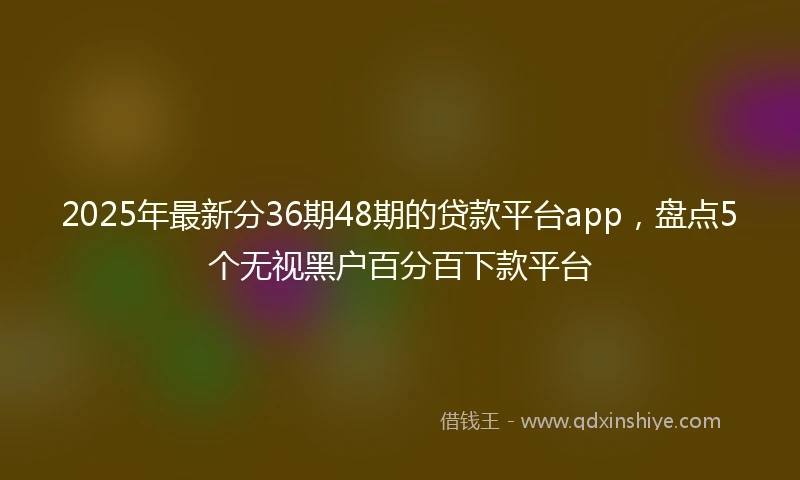 2025年最新分36期48期的贷款平台app，盘点5个无视黑户百分百下款平台