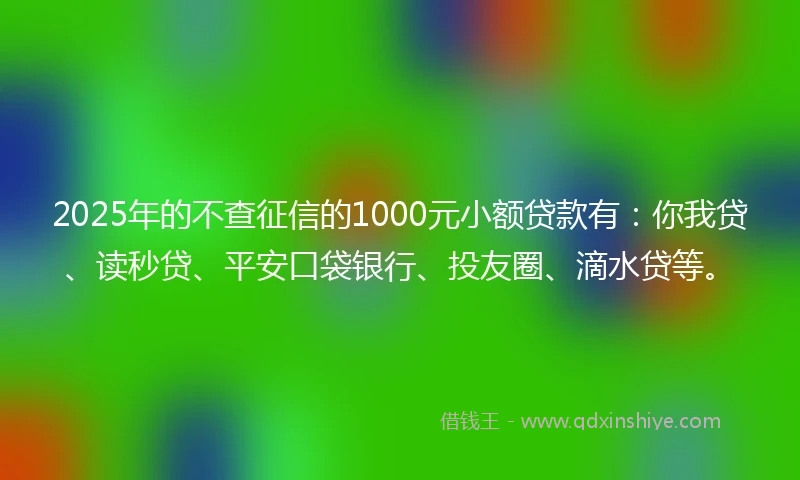 2025年的不查征信的1000元小额贷款有：你我贷、读秒贷、平安口袋银行、投友圈、滴水贷等。