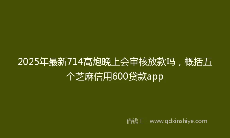 2025年最新714高炮晚上会审核放款吗，概括五个芝麻信用600贷款app