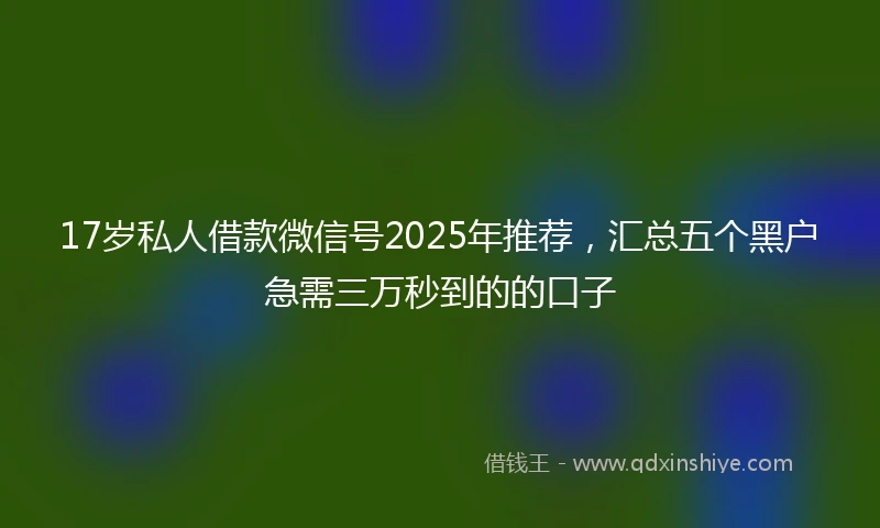17岁私人借款微信号2025年推荐，汇总五个黑户急需三万秒到的的口子