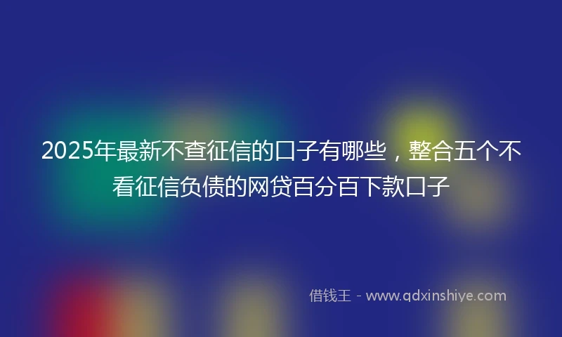 2025年最新不查征信的口子有哪些，整合五个不看征信负债的网贷百分百下款口子