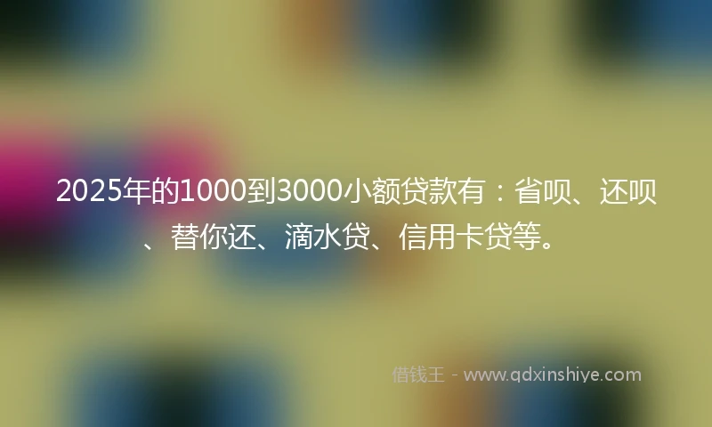 2025年的1000到3000小额贷款有：省呗、还呗、替你还、滴水贷、信用卡贷等。
