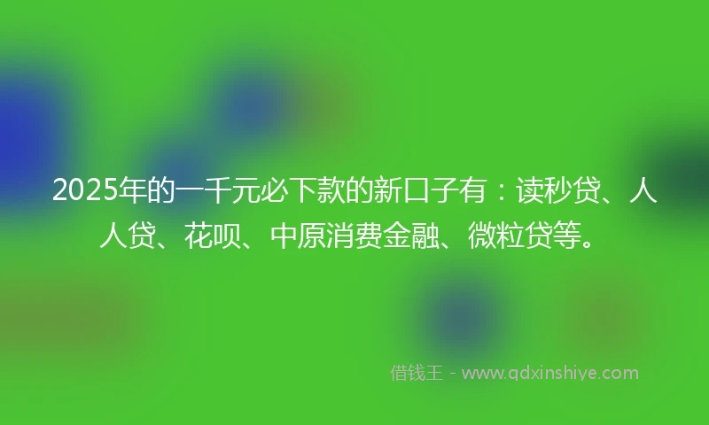 2025年的一千元必下款的新口子有：读秒贷、人人贷、花呗、中原消费金融、微粒贷等。