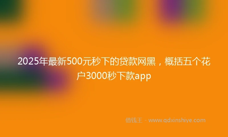 2025年最新500元秒下的贷款网黑，概括五个花户3000秒下款app