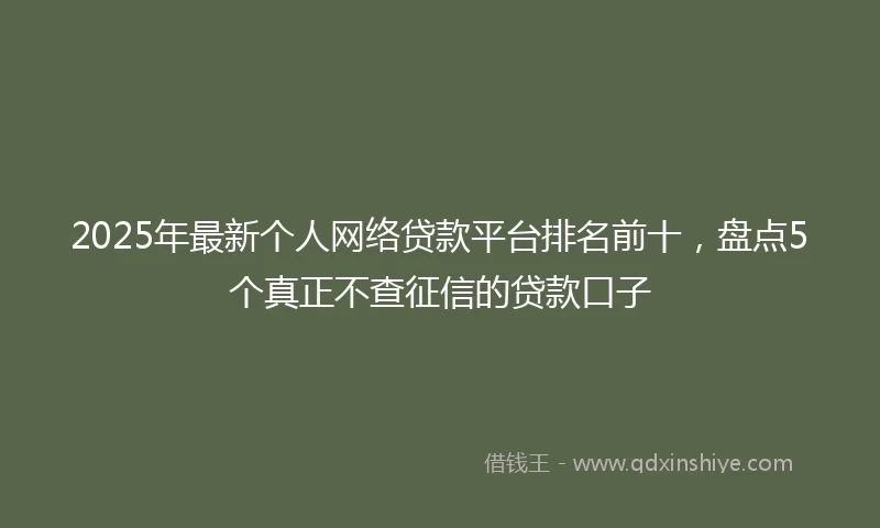2025年最新个人网络贷款平台排名前十，盘点5个真正不查征信的贷款口子