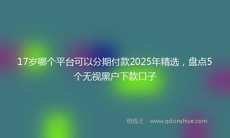 17岁哪个平台可以分期付款2025年精选，盘点5个无视黑户下款口子