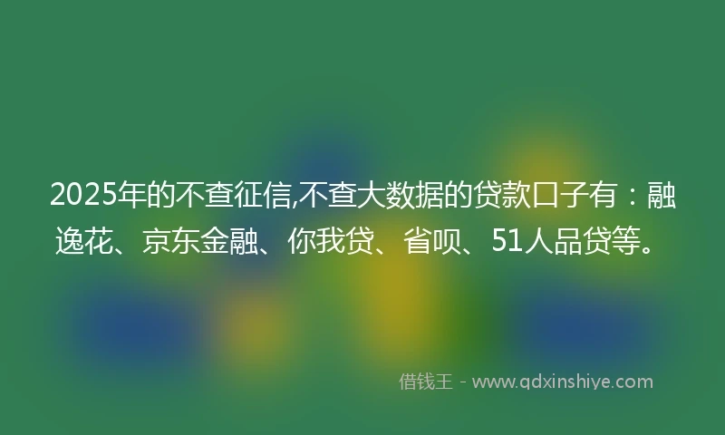 2025年的不查征信,不查大数据的贷款口子有：融逸花、京东金融、你我贷、省呗、51人品贷等。