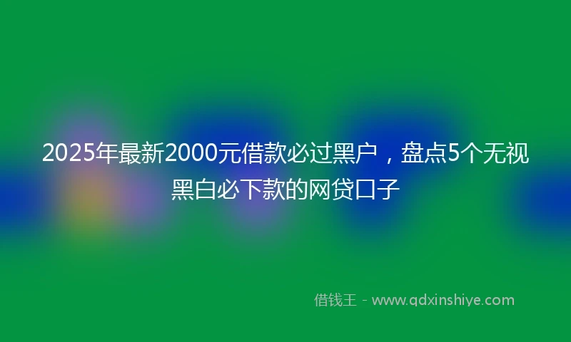 2025年最新2000元借款必过黑户，盘点5个无视黑白必下款的网贷口子