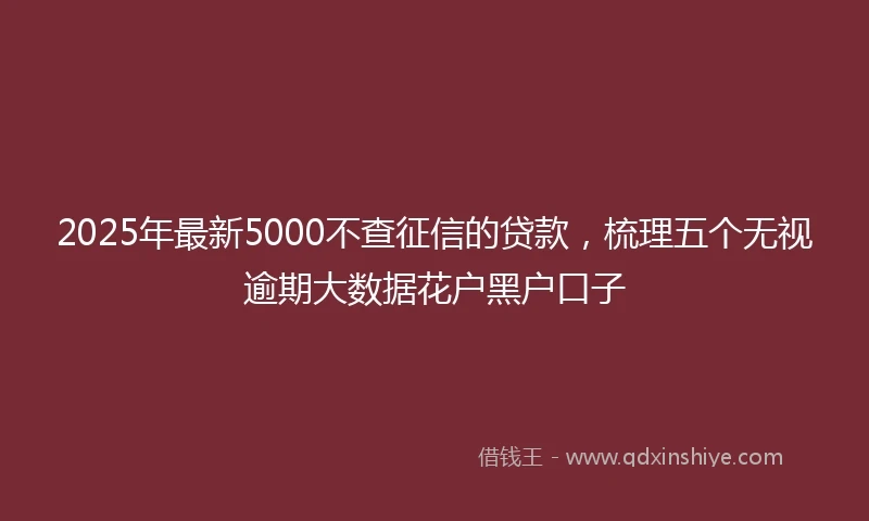 2025年最新5000不查征信的贷款，梳理五个无视逾期大数据花户黑户口子