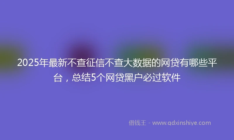 2025年最新不查征信不查大数据的网贷有哪些平台，总结5个网贷黑户必过软件