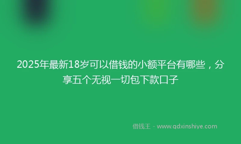 2025年最新18岁可以借钱的小额平台有哪些，分享五个无视一切包下款口子