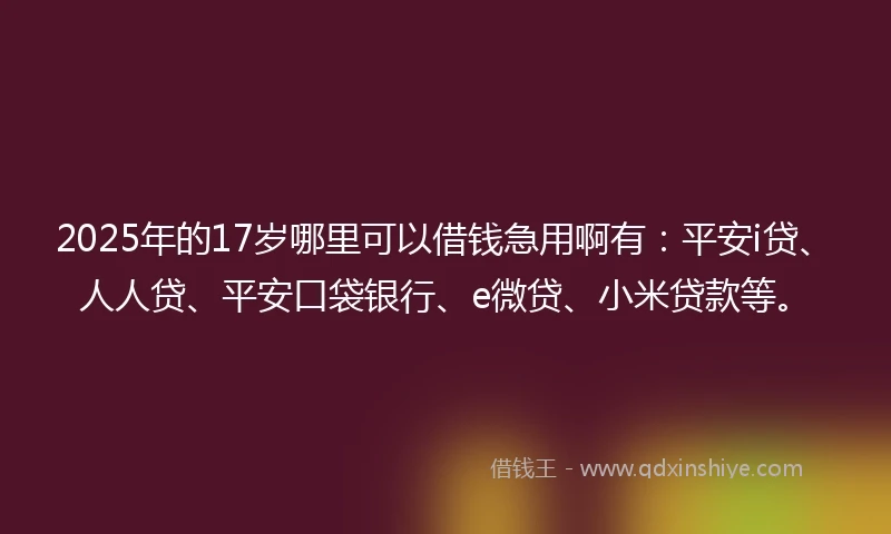 2025年的17岁哪里可以借钱急用啊有：平安i贷、人人贷、平安口袋银行、e微贷、小米贷款等。
