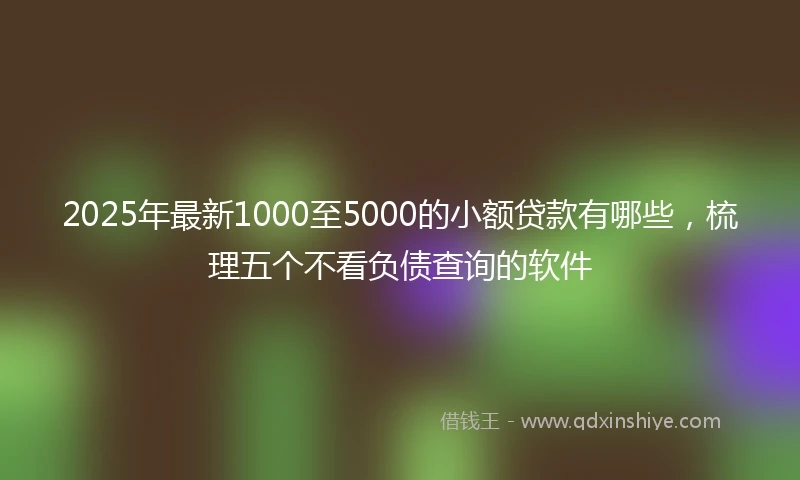 2025年最新1000至5000的小额贷款有哪些，梳理五个不看负债查询的软件