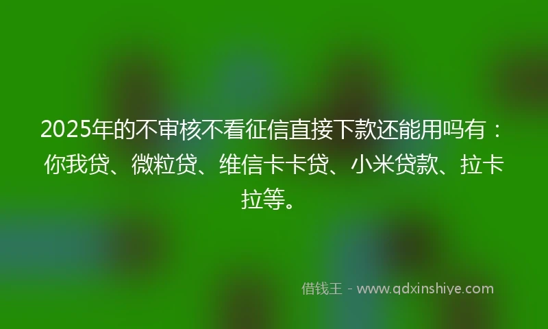 2025年的不审核不看征信直接下款还能用吗有：你我贷、微粒贷、维信卡卡贷、小米贷款、拉卡拉等。