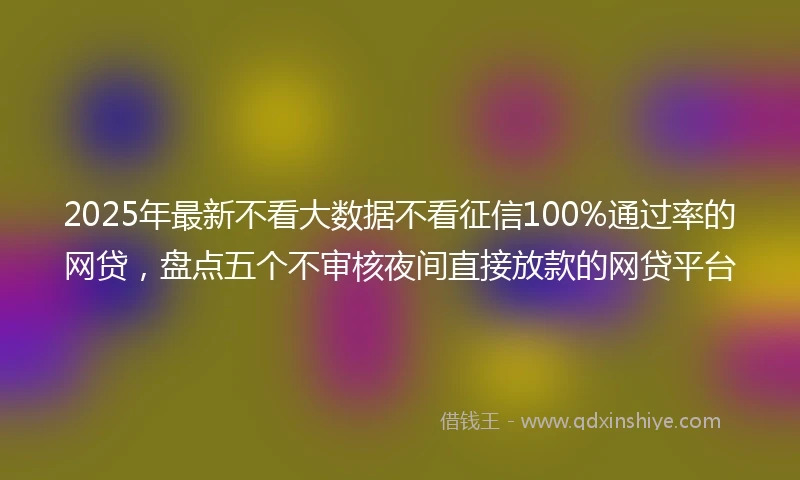2025年最新不看大数据不看征信100%通过率的网贷，盘点五个不审核夜间直接放款的网贷平台