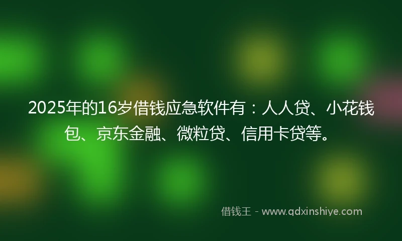 2025年的16岁借钱应急软件有：人人贷、小花钱包、京东金融、微粒贷、信用卡贷等。
