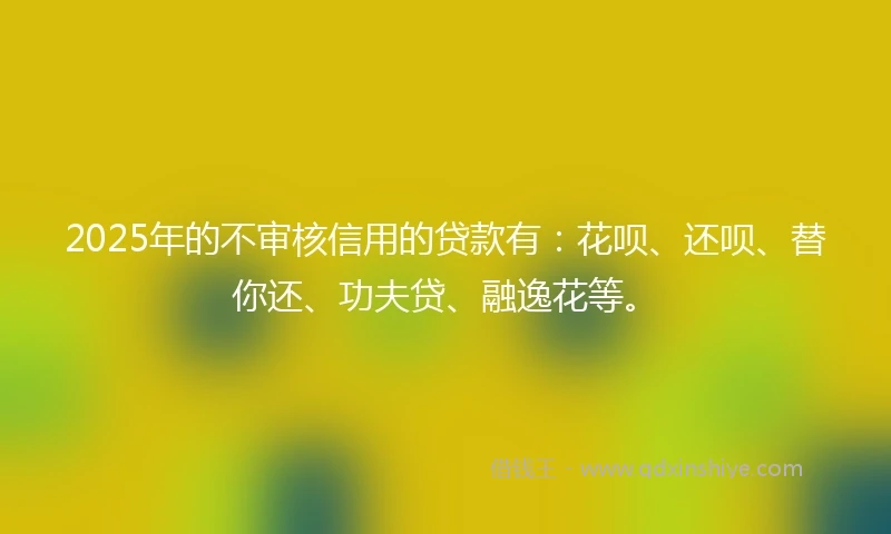 2025年的不审核信用的贷款有：花呗、还呗、替你还、功夫贷、融逸花等。