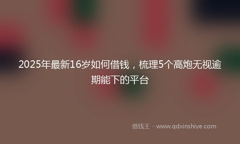 2025年最新16岁如何借钱，梳理5个高炮无视逾期能下的平台