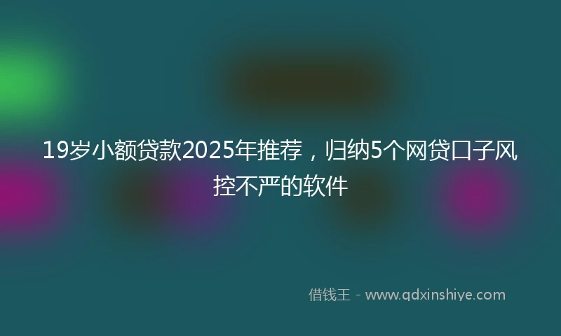 19岁小额贷款2025年推荐，归纳5个网贷口子风控不严的软件