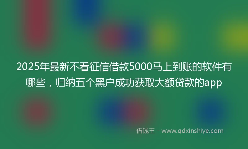 2025年最新不看征信借款5000马上到账的软件有哪些，归纳五个黑户成功获取大额贷款的app
