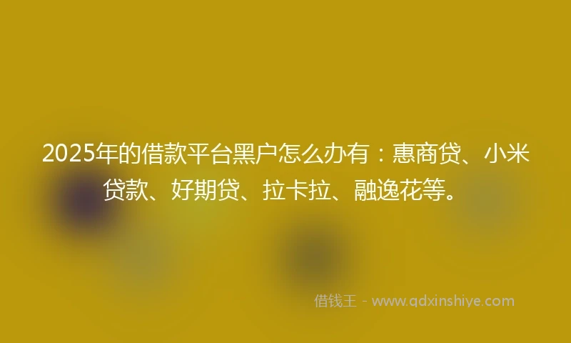 2025年的借款平台黑户怎么办有：惠商贷、小米贷款、好期贷、拉卡拉、融逸花等。