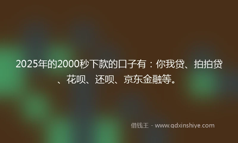 2025年的2000秒下款的口子有：你我贷、拍拍贷、花呗、还呗、京东金融等。